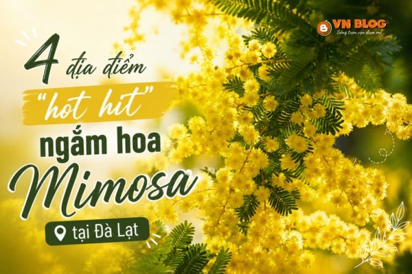 4 địa điểm