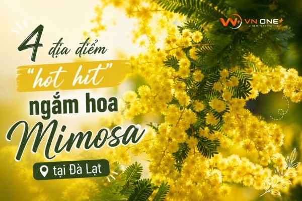 4 địa điểm 