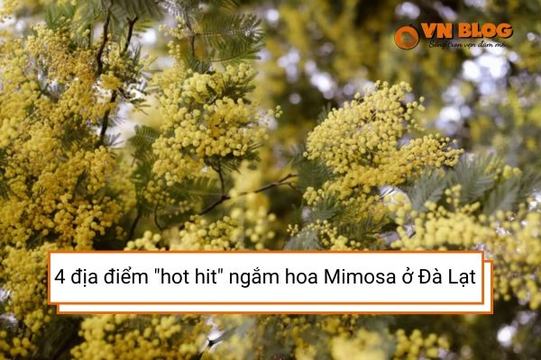 4 địa điểm