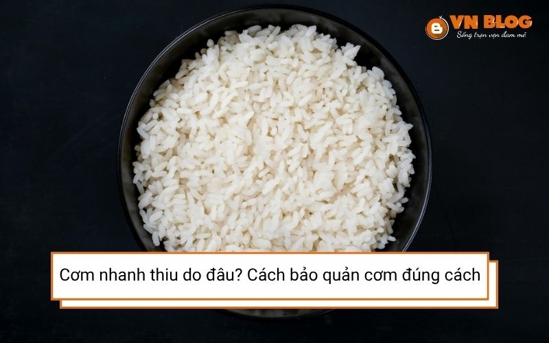 Cơm nhanh thiu do đâu? Cách bảo quản cơm đúng cách ai cũng nên biết 