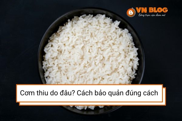Cơm nhanh thiu do đâu? Cách bảo quản cơm đúng cách