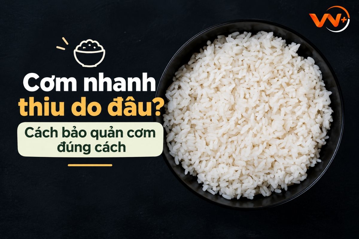 Cơm nhanh thiu do đâu? Cách bảo quản cơm đúng cách