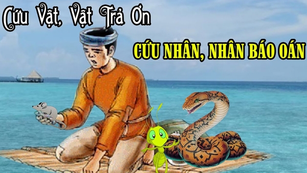 Cứu vật vật trả ân, cứu nhân nhân trả oán