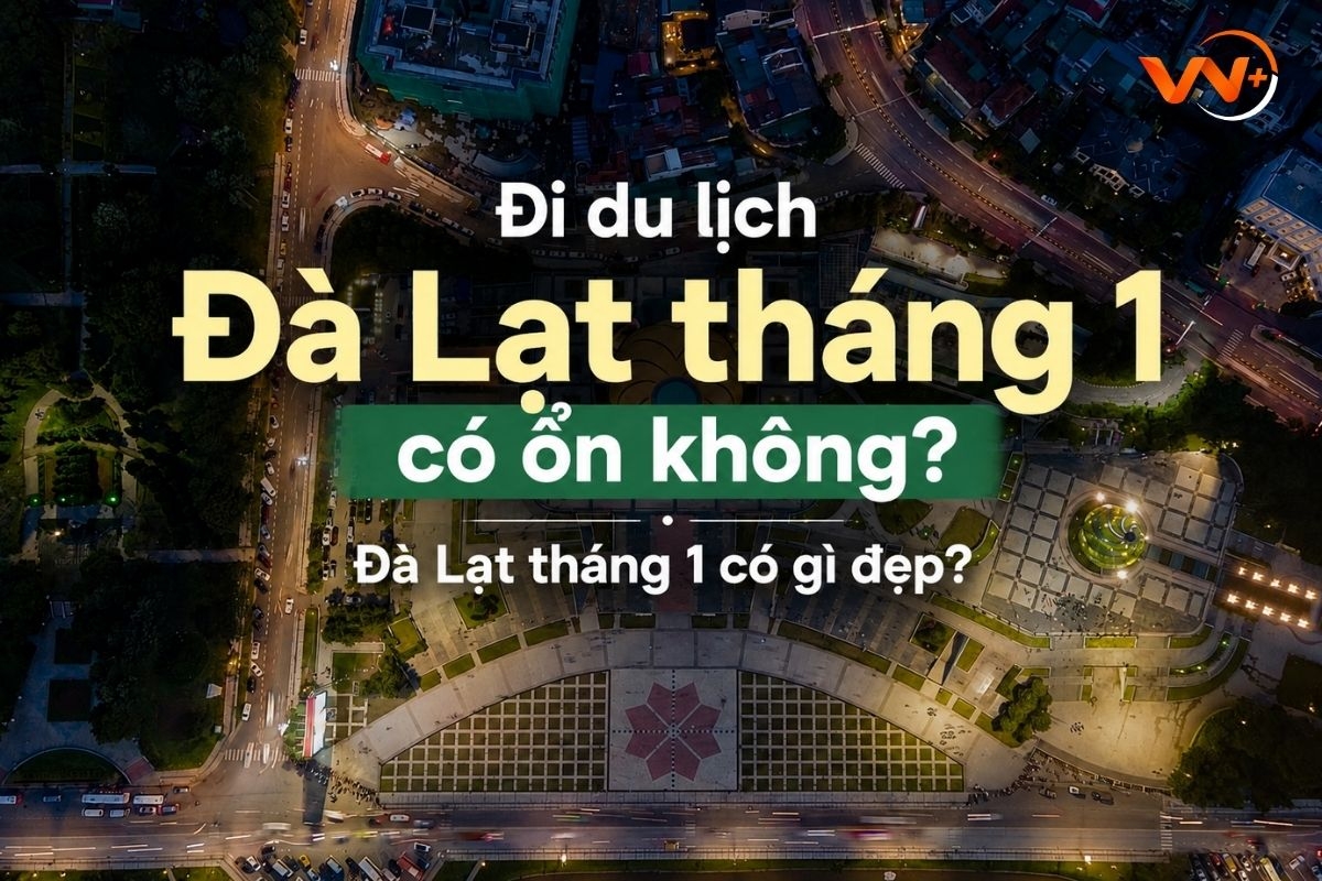 Đi du lịch Đà Lạt tháng 1 có ổn không? Đà Lạt tháng 1 có gì đẹp?