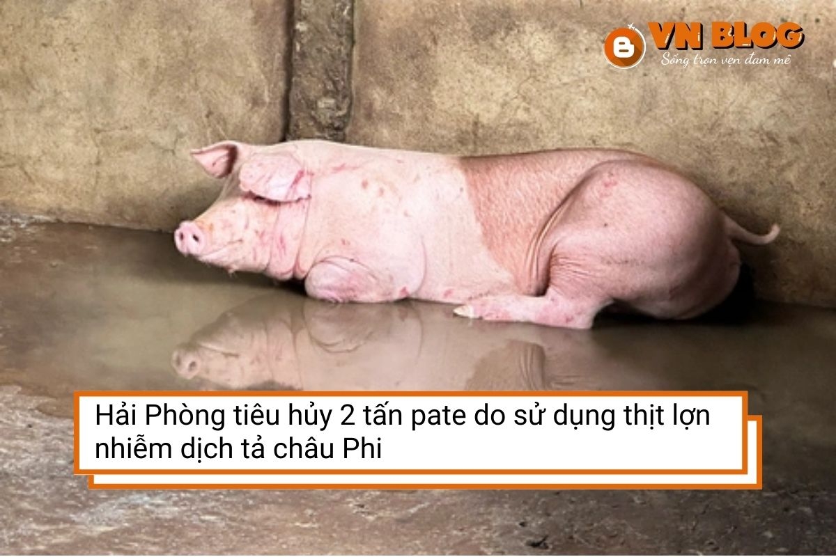 Hải Phòng tiêu hủy 2 tấn pate do sử dụng thịt lợn nhiễm dịch tả châu Phi