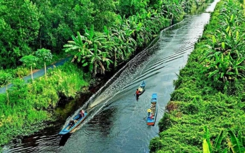 Khám phá khu rừng ở Việt Nam được xếp loại quý hiếm trên thế giới