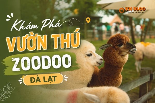 Khám Phá Vườn Thú ZooDoo Đà Lạt – Thiên Đường Của Các Loài Động Vật