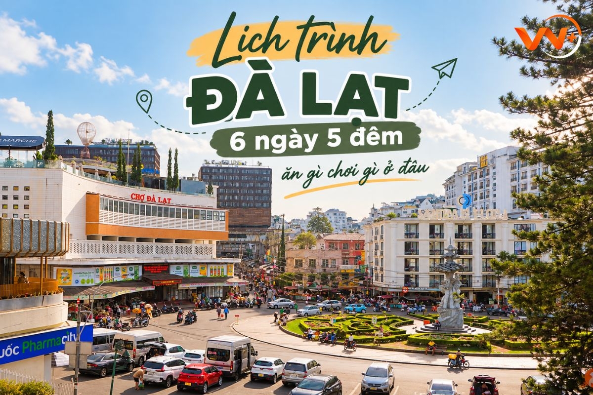 Lịch trình Đà Lạt 6 ngày 5 đêm ăn gì chơi gì ở đâu 