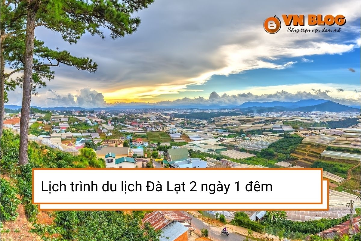 Lịch trình du lịch Đà Lạt 2 ngày 1 đêm gọn nhẹ mà vẫn đủ trải nghiệm