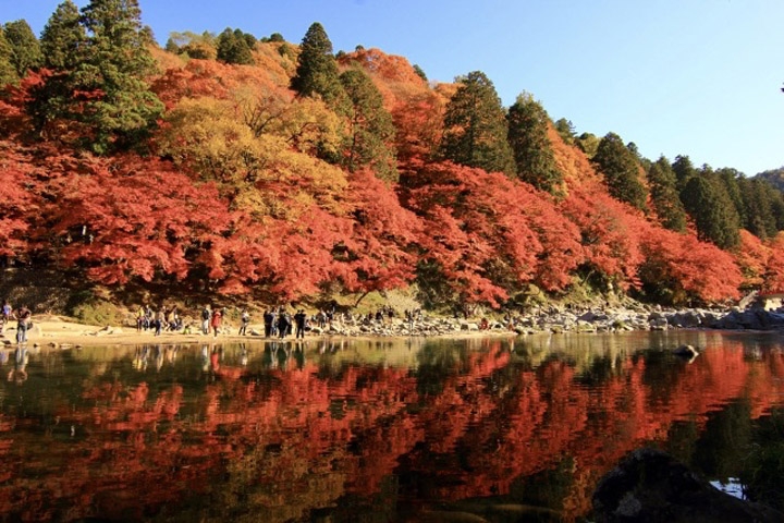 Nhật Bản mùa thu - rực rỡ lá phong đỏ