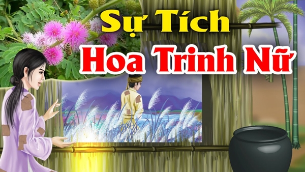 Sự tích Hoa Trinh Nữ