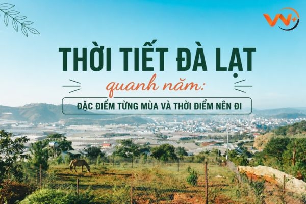 Thời tiết Đà Lạt quanh năm: Đặc điểm từng mùa và thời điểm nên đi