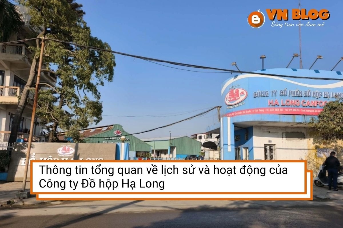 Thông tin tổng quan về lịch sử và hoạt động của Công ty Đồ hộp Hạ Long