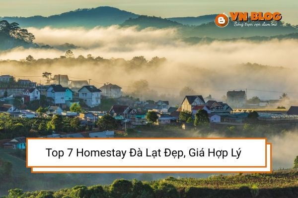 Top 7 Homestay Đà Lạt Đẹp, Giá Hợp Lý Và Được Yêu Thích