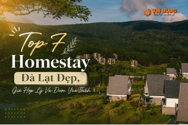 Top 7 Homestay Đà Lạt Đẹp, Giá Hợp Lý Và Được Yêu Thích