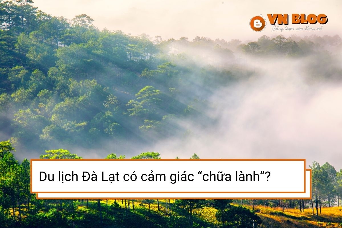 Vì sao du lịch Đà Lạt luôn mang lại cảm giác “chữa lành”?