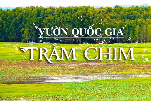 Vườn quốc gia Tràm Chim