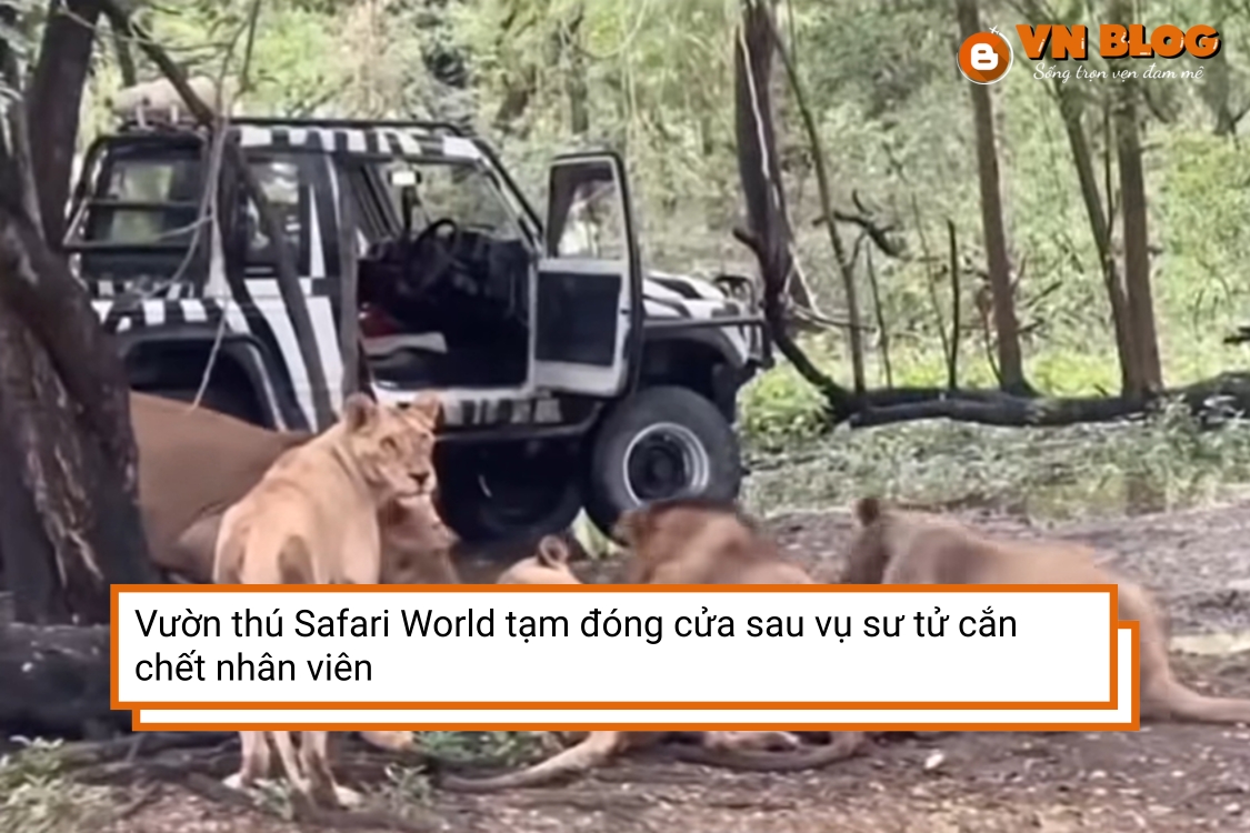 Vườn thú Safari World tạm đóng cửa sau vụ sư tử cắn chết nhân viên