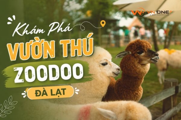 ZooDoo Đà Lạt: Khám phá vườn thú độc đáo giữa núi rừng