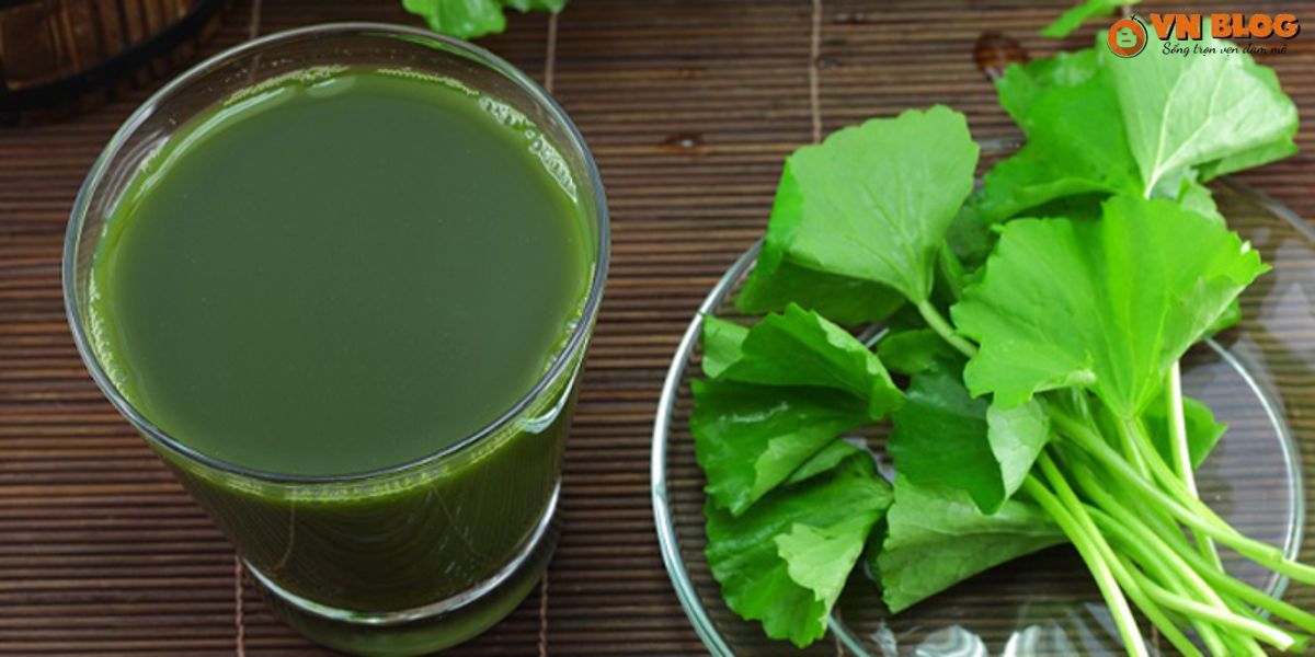 Uống rau má giảm cân mỗi ngày có tốt không? Chuyên gia nói gì?