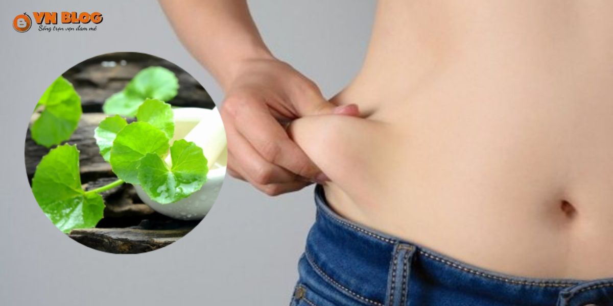 Uống rau má giảm cân mỗi ngày có tốt không? Chuyên gia nói gì?