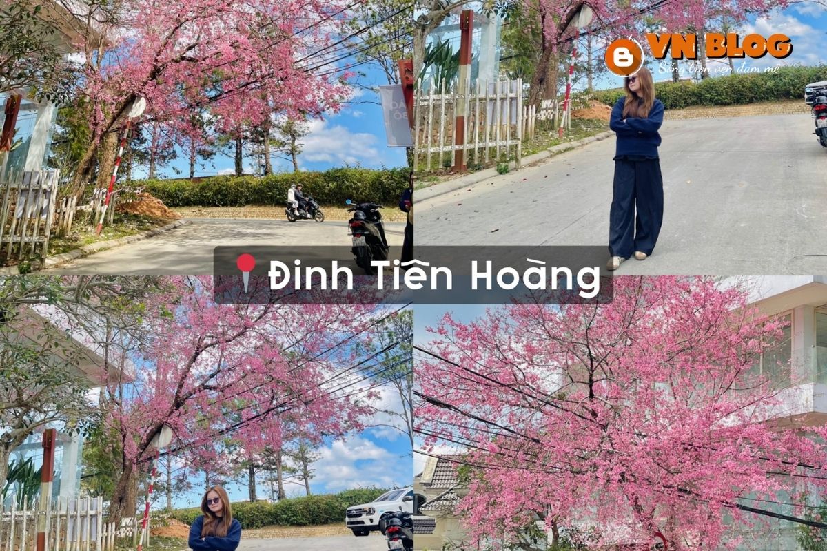 Địa điểm ngắm hoa anh đào ở đường Đinh Tiên Hoàng
