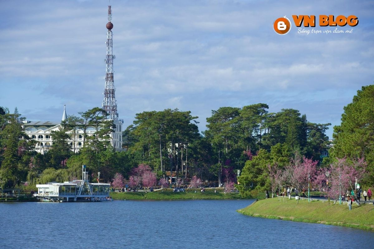 Địa điểm ngắm hoa anh đào ở Hồ Xuân Hương