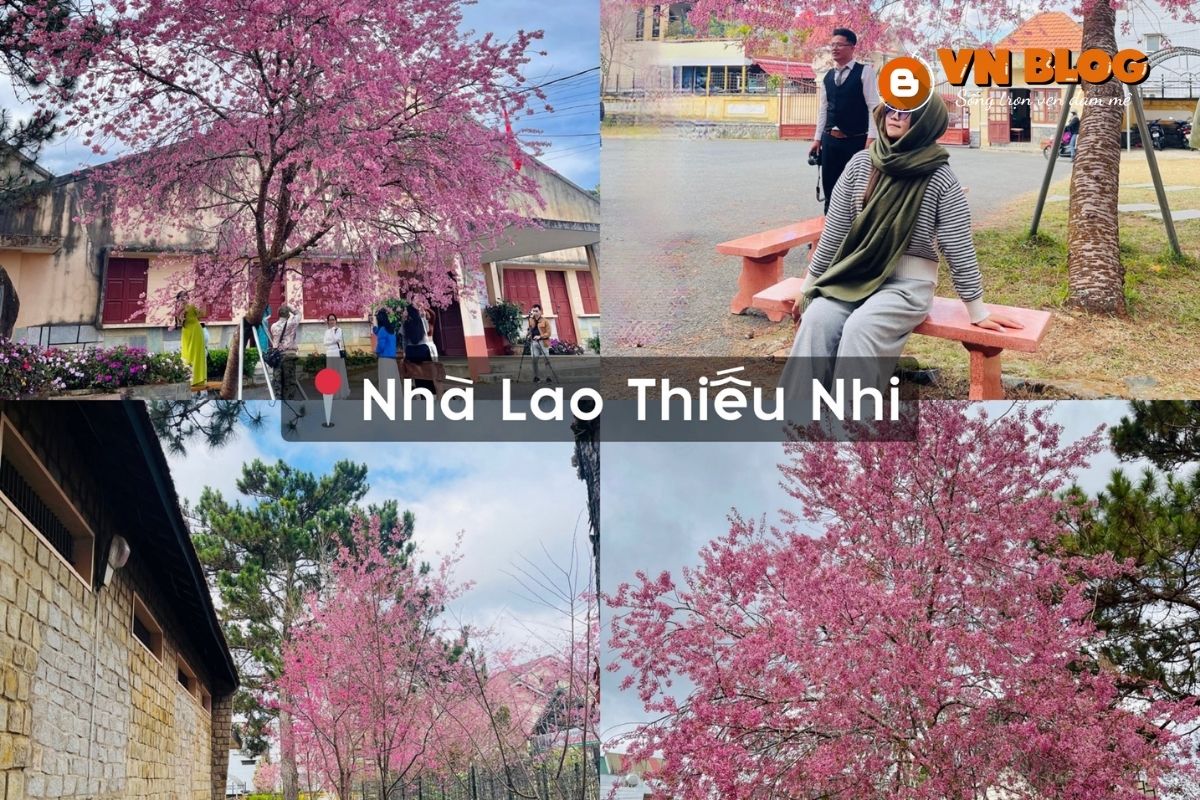 Địa điểm ngắm hoa anh đào ở Nhà Lao Thiếu Nhi