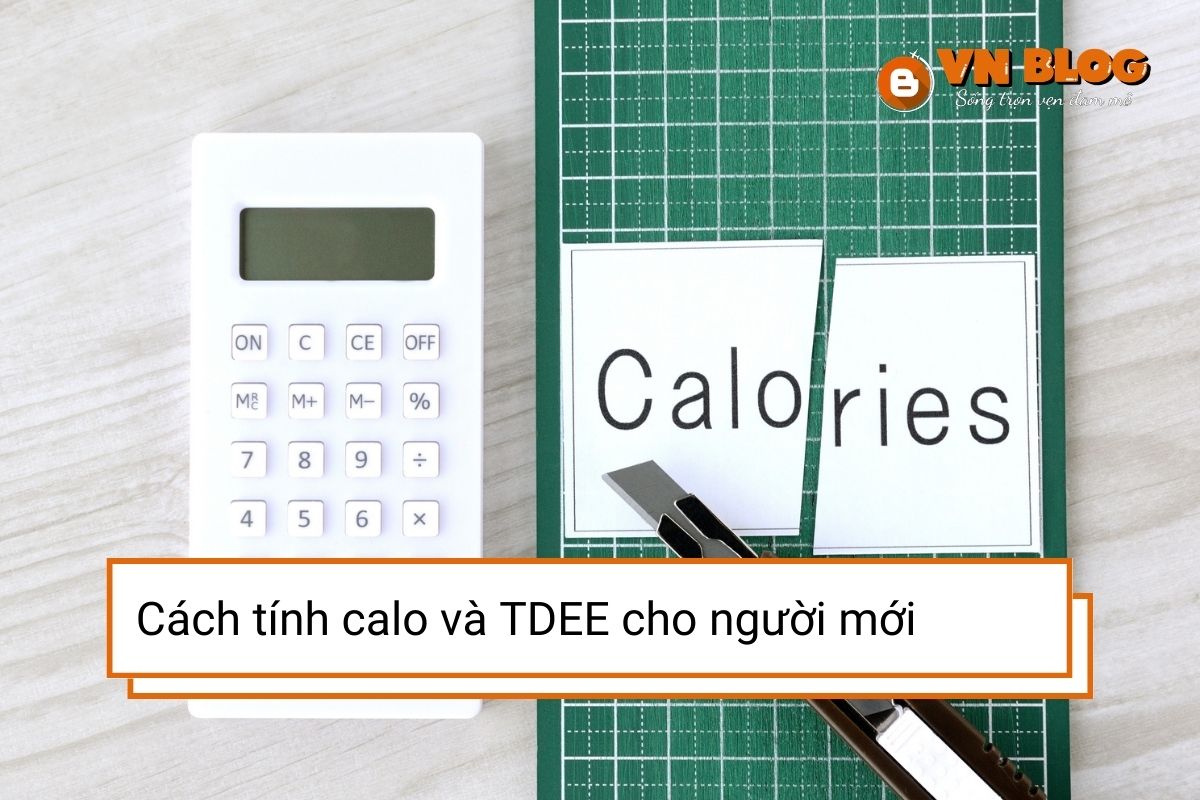 Cách tính calo và TDEE cho người mới bắt đầu chi tiết