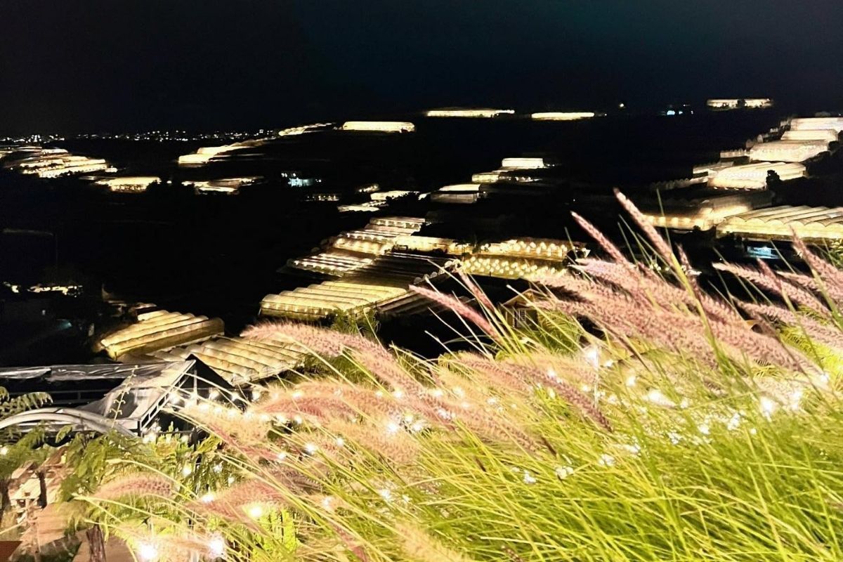 Không gian và thiết kế của quán