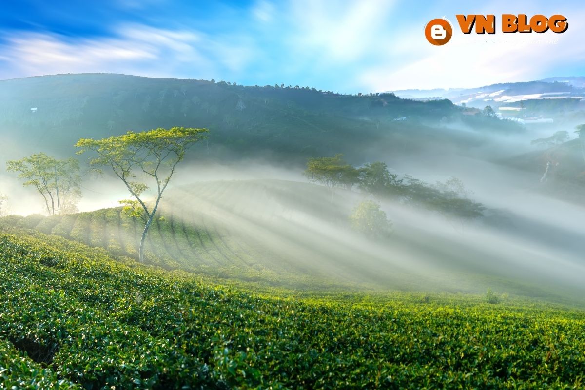 Một khung cảnh tuyệt đẹp tại Đà Lạt
