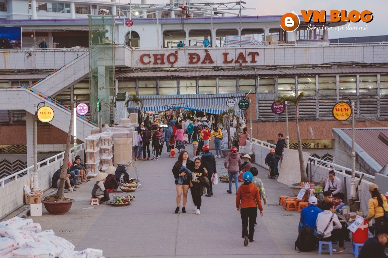 Du lịch Đà Lạt tháng 1 có ổn không? Cần lưu ý điều gì?