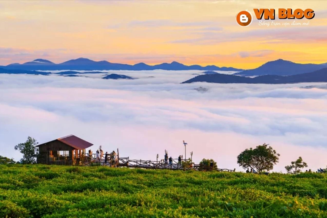 Đồi chè Cầu Đất - Địa điểm săn mây nổi tiếng