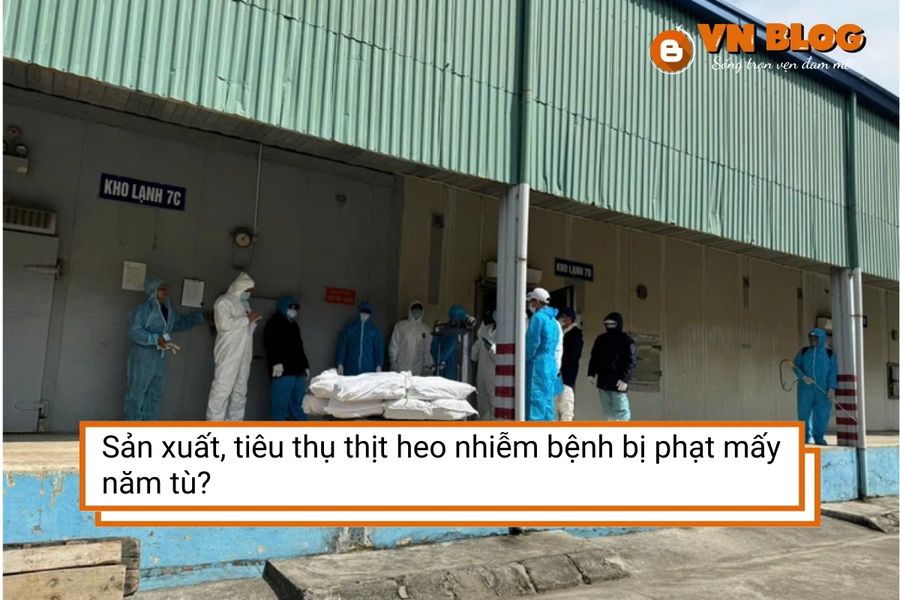 Sản xuất, tiêu thụ thịt heo nhiễm bệnh bị phạt mấy năm tù?